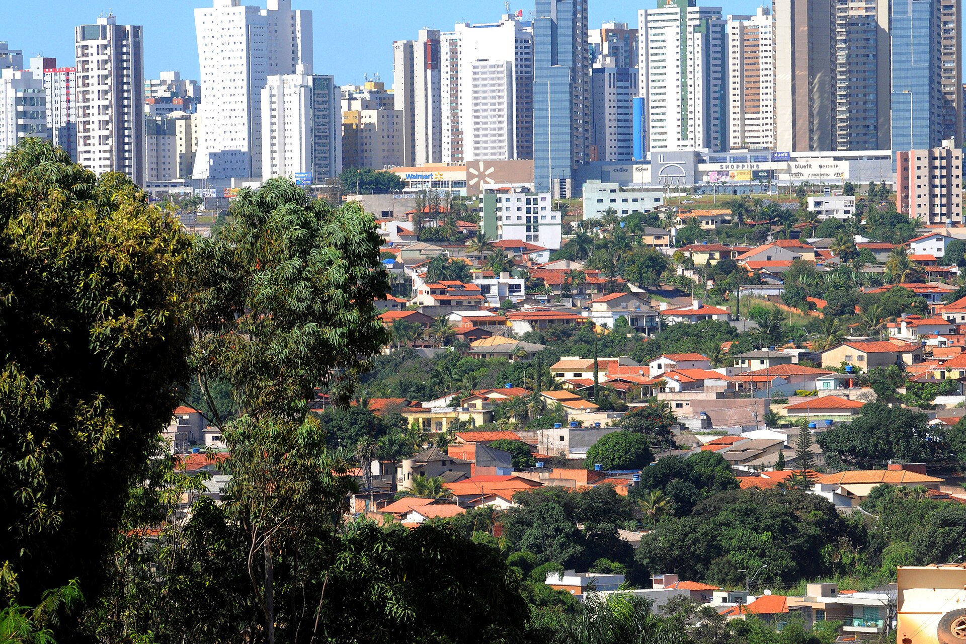 Vicente Pires